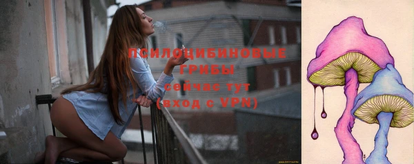 синтетический гашиш Алексин