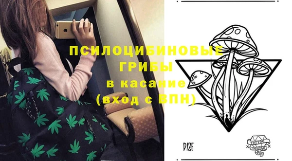 apvp Ельня