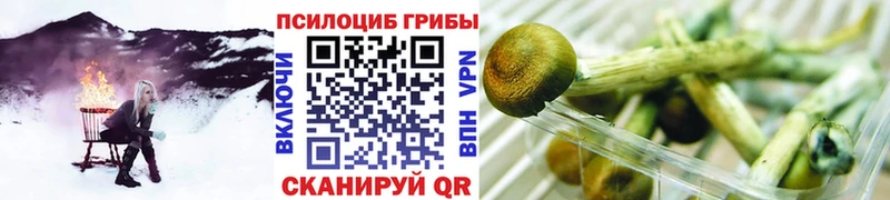 Псилоцибиновые грибы мицелий Лермонтов